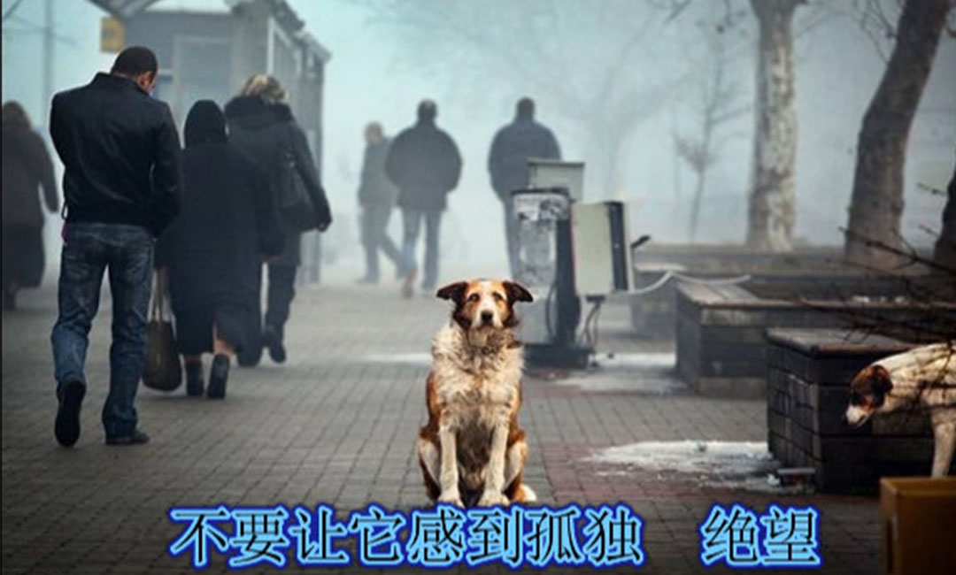 商洛爱影圈微博微信转发案例